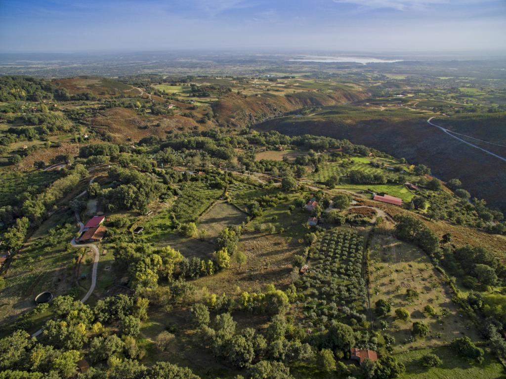 El Vergel de Chilla son 3 alojamientos Abejas 1 Abejas 2 y Libélula Candeleda Exterior foto