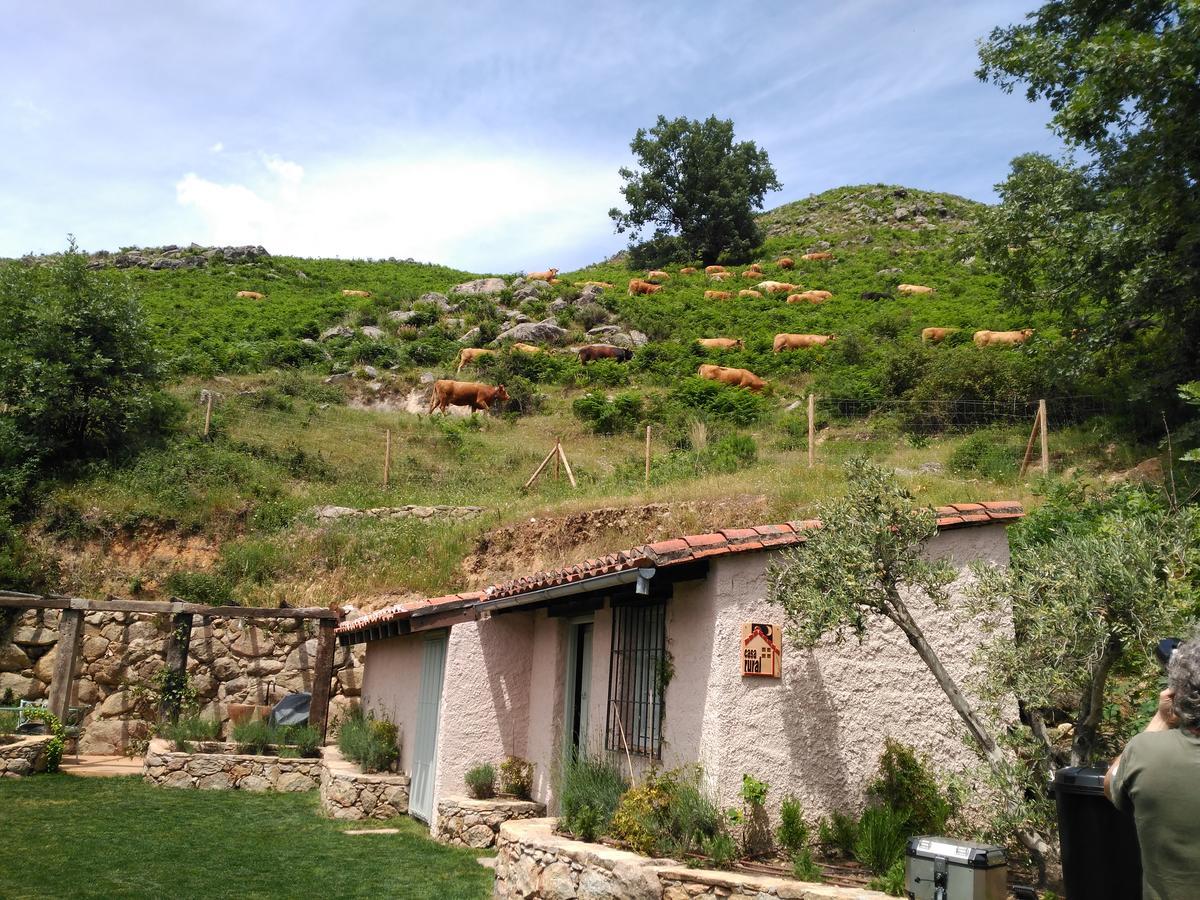 El Vergel de Chilla son 3 alojamientos Abejas 1 Abejas 2 y Libélula Candeleda Exterior foto